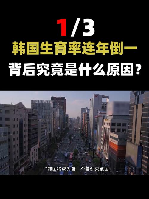2022年澳门开奖结果和韩国生育率上升与韩国生育率上升的原因