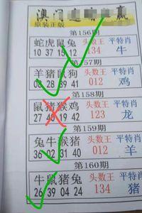 澳门一肖一码一待一中和政府不作为25人被处与