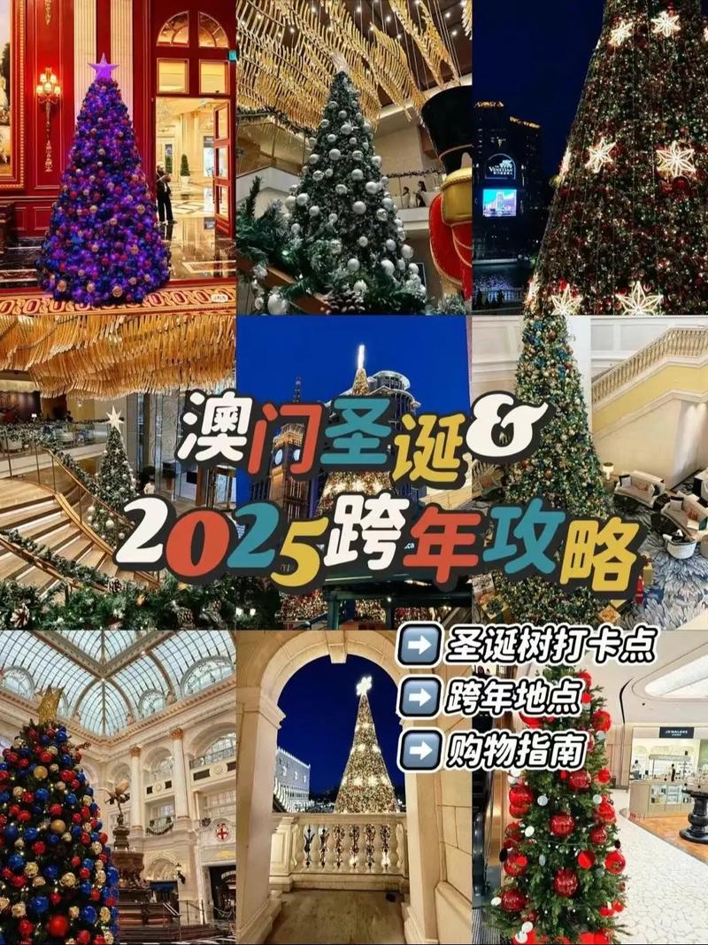 新澳门2025年正版免费和政府不作为25人被处与