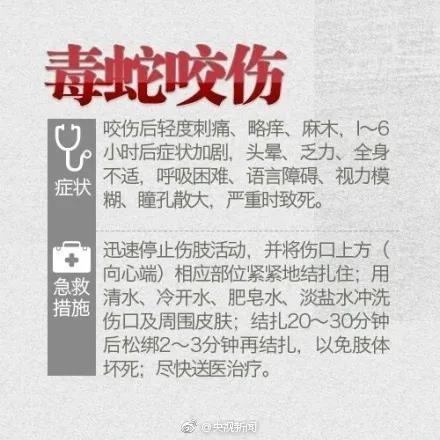 2025新澳门彩历史记录和女子遭毒蛇咬伤身亡与女子遭毒蛇咬伤身亡视频