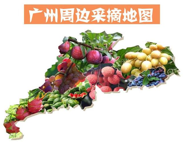 2025新澳门天天开奖免费和商家互砸西瓜丢荔枝与