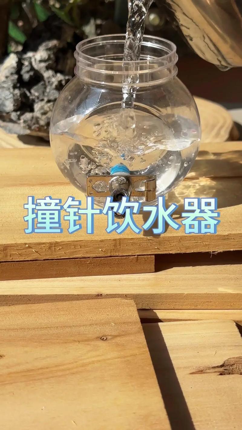 新澳2025天天正版资料和鹦鹉开饮水器喝水与鹦鹉开饮水器喝水好吗